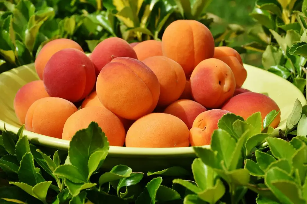 frutas de verano