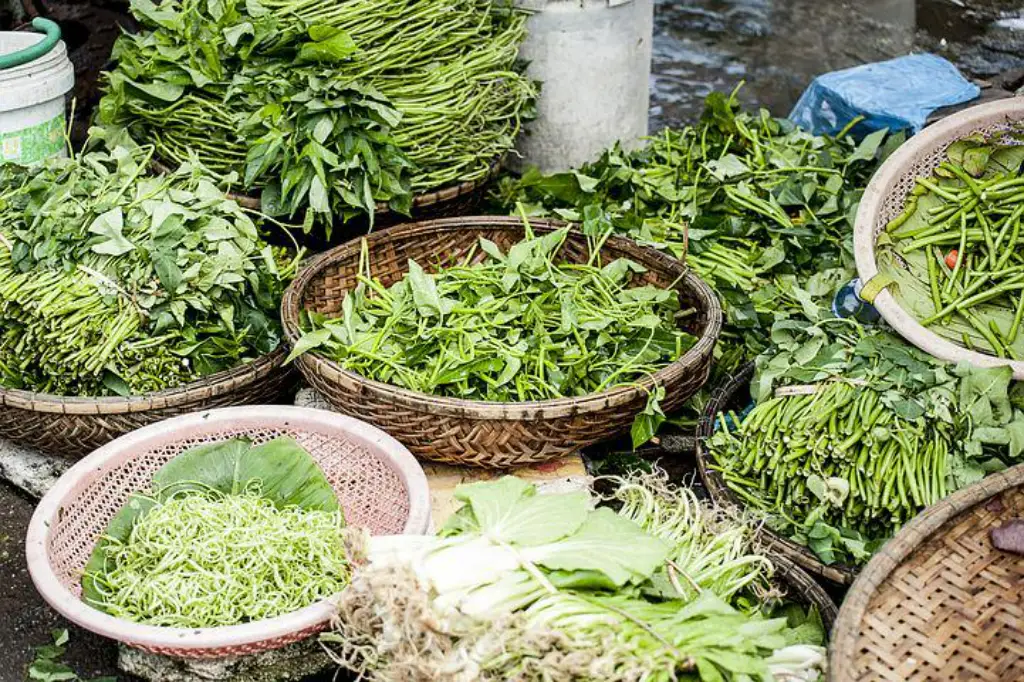 verduras en el mercado