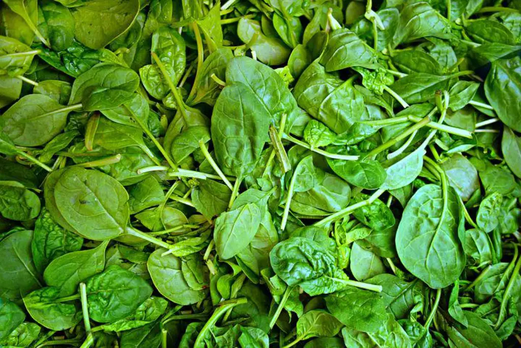 información nutricional de las espinacas