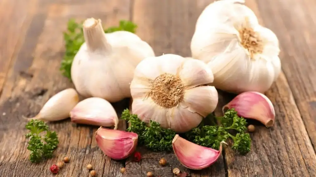 diferentes variedades de ajo