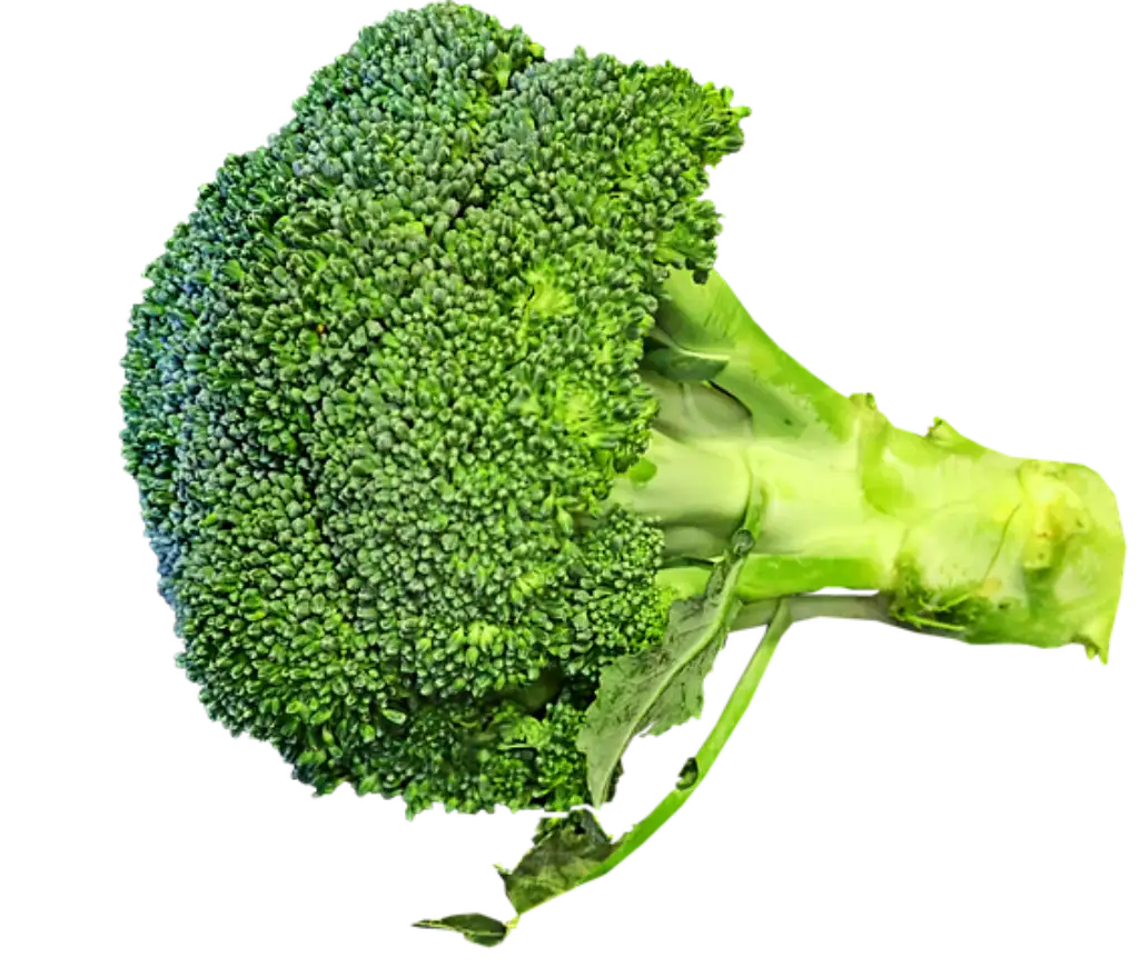 diferentes variedades de brócoli