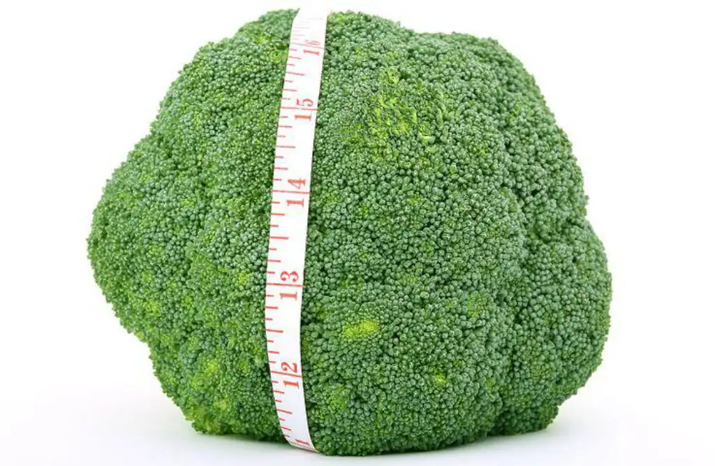los beneficios del brócoli para la salud