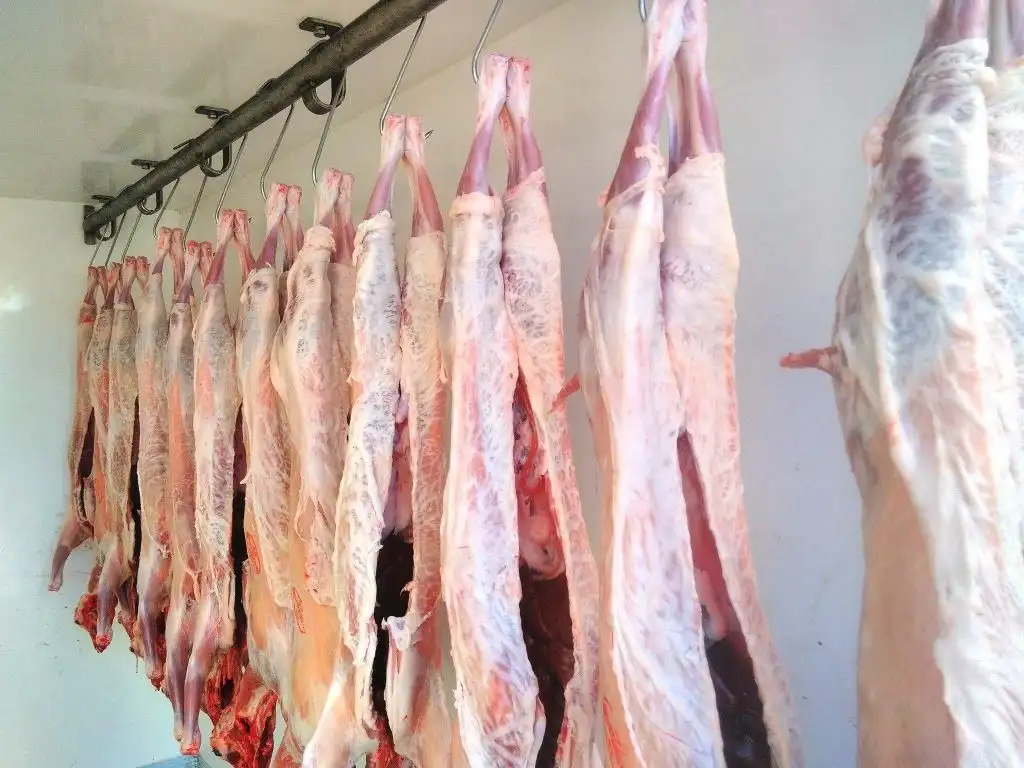corderos en la carnicería